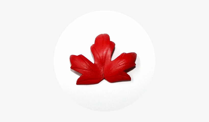 Maple Red Maple Leaf - Maple Leaf, transparent png download