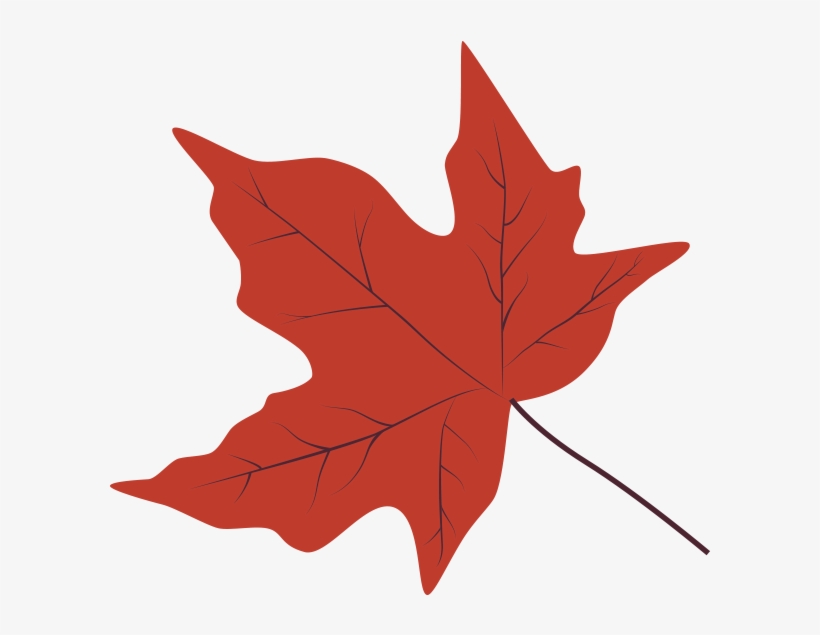 Sugar Maple - Maple Leaf, transparent png download