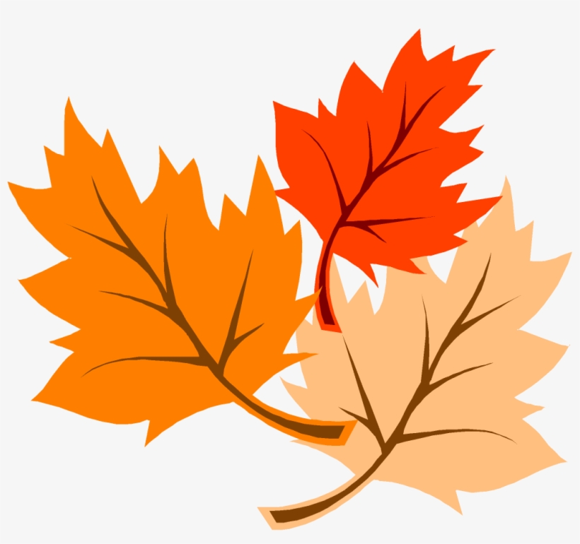 Fall Leaves - Fall, transparent png download
