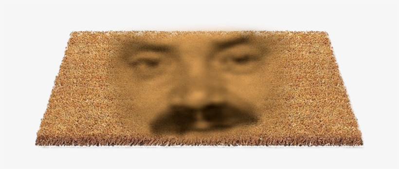 Topic Jayson Tatum Top 5 Ailier De La Ligue - Dog, transparent png download