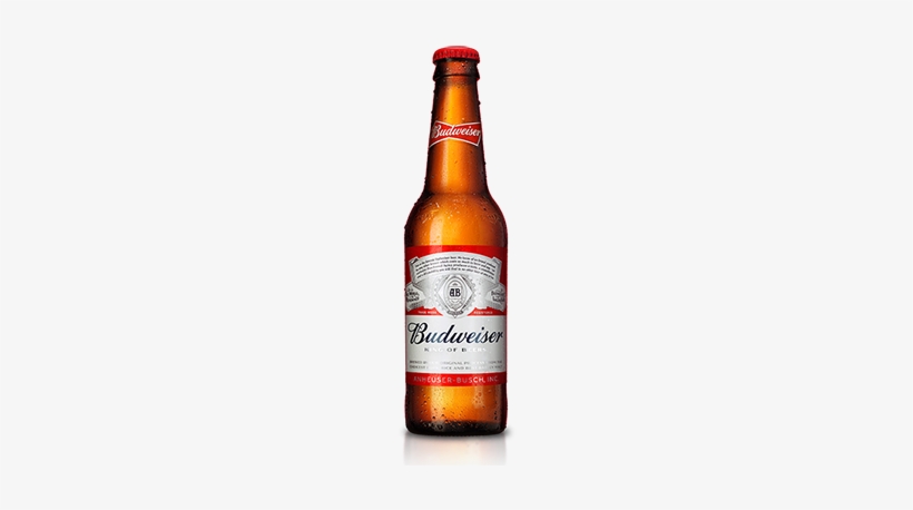 Budweiser Beer Bottle Png For Kids - Budweiser - 12 Fl Oz Bottle PNG ...