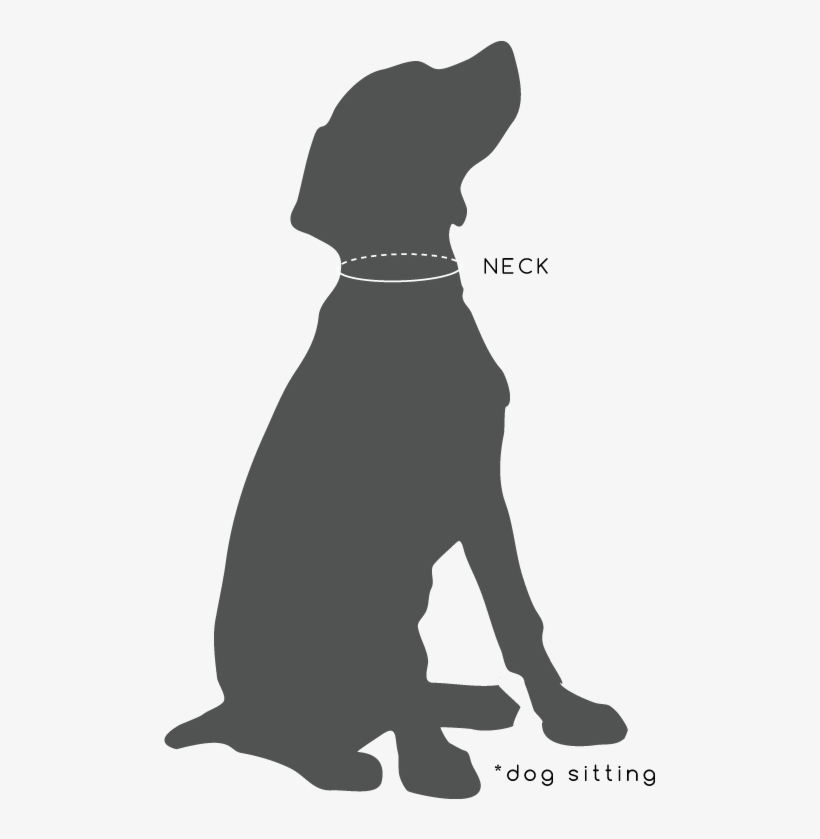 Sit - Stay - Measure - - Coonhound, transparent png download