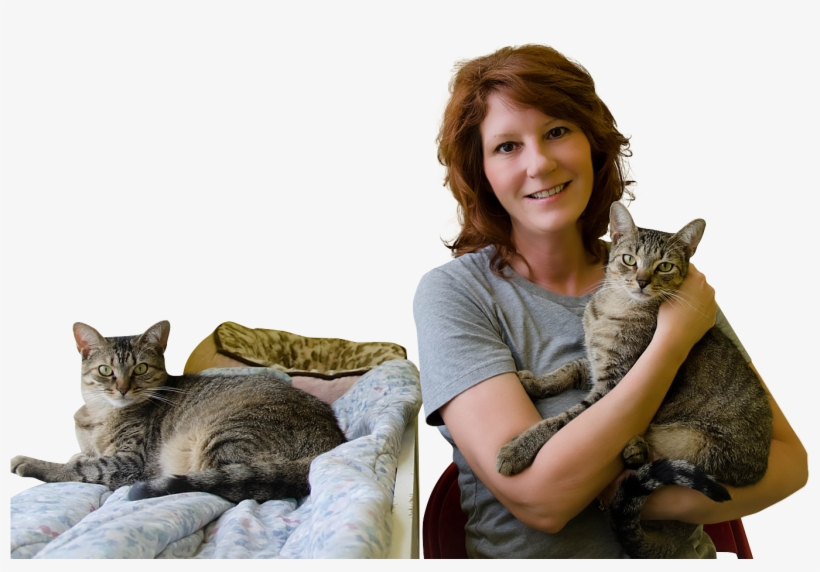 Pet Sitting Visits - Domestic Short-haired Cat, transparent png download