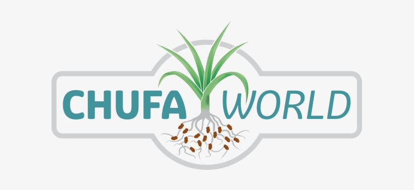 Tiger Nuts - Tiger Nuts Clipart, transparent png download