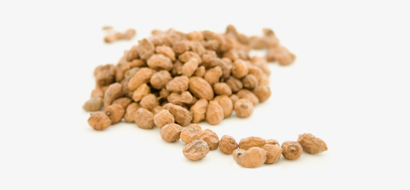 Aún Las Recuerdo Cuando Mi Abuela Materna Nos Compraba - Chufa Png, transparent png download