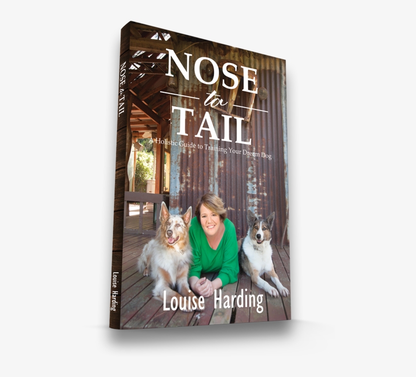 A Holistic Guide To Training Your Dream Dog - Dream Dog, transparent png download