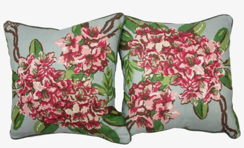 Img 4297 Clipped Rev 1, transparent png download