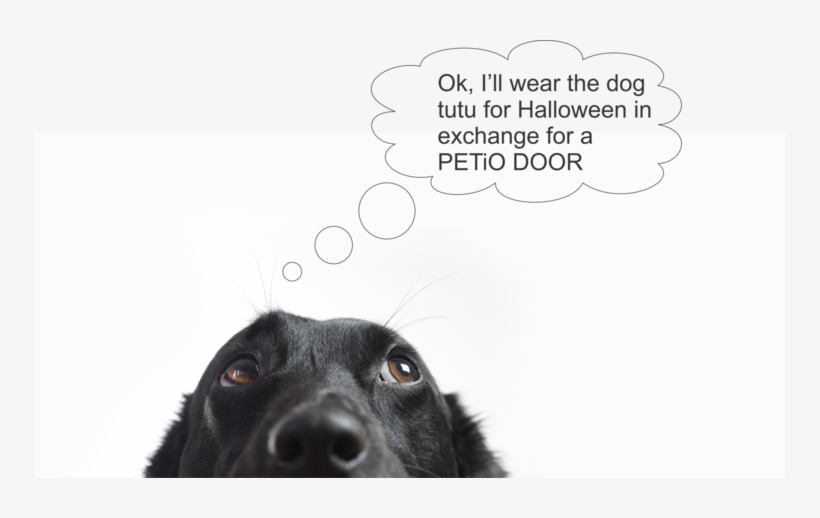 Door Sizes Smaller - Pardon The Farting... Pillow Case, transparent png download