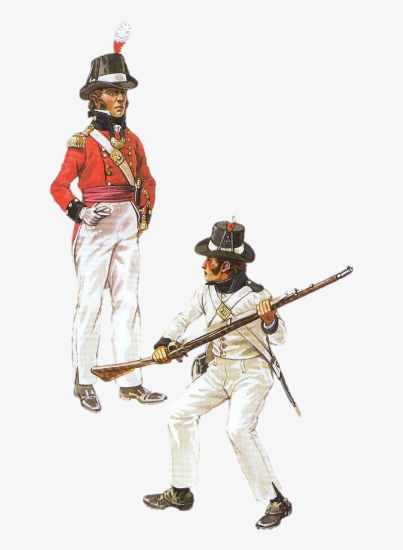 1 - Http - //i - Imgur - Com/m2v1j0e - Napoleonic Wars, transparent png download
