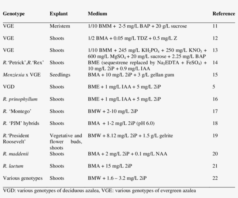 Protocols For In Vitro Multiplication Of Various Rhododendron - Multiplication, transparent png download