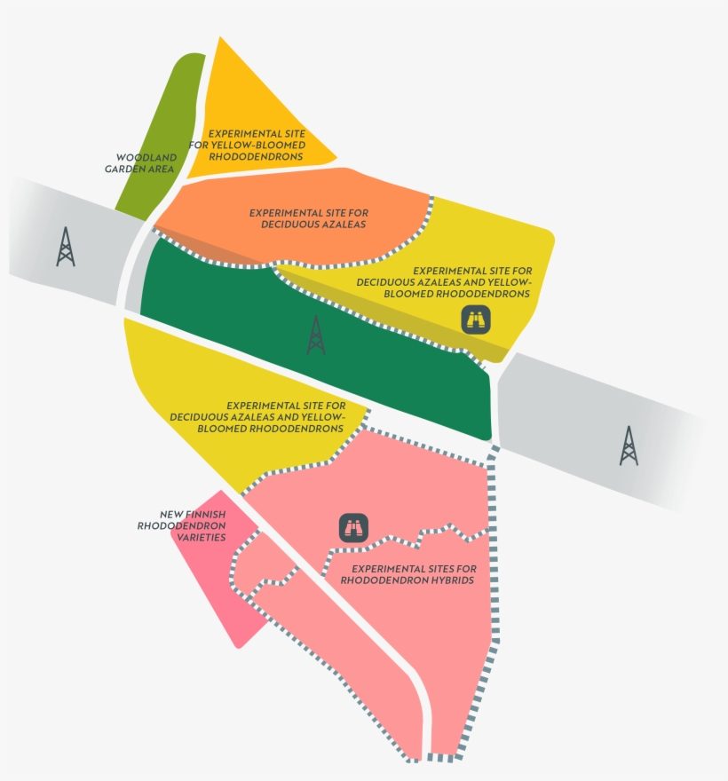 Alppiruusupuisto Rhododendron Park - Diagram, transparent png download