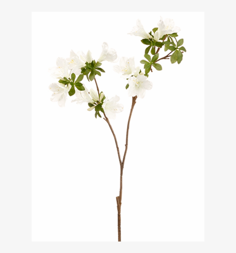 30" Rhododendron Spray White - 30" Handwrapped Silk Azalea Flower Spray -white (pack, transparent png download