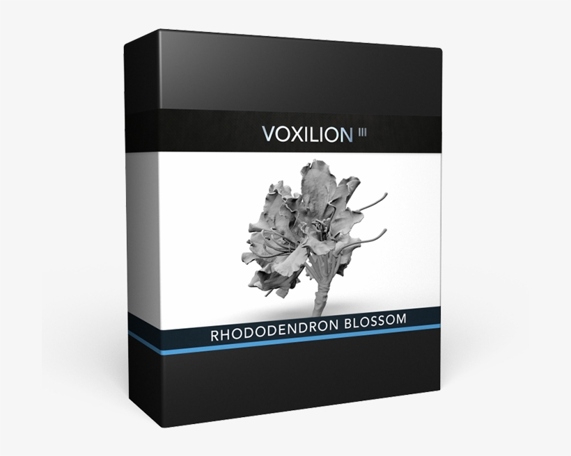 Rhododendron Blossom - 3d Printing, transparent png download