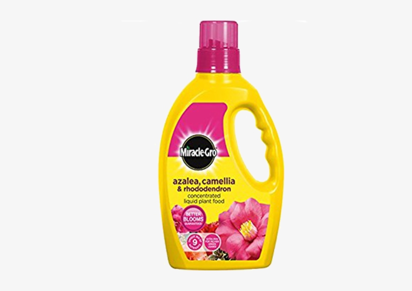 Miracle-gro® Azalea, Camellia & Rhododendron Soluble - Miracle-gro 1 Litre Azalea, Camellia And Rhododendron, transparent png download