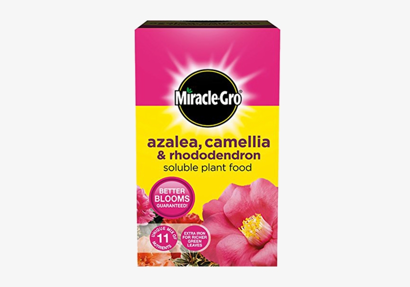 Miracle-gro® Azalea, Camellia & Rhododendron Soluble - Miracle Gro All Purpose Soluble Plant Food, transparent png download
