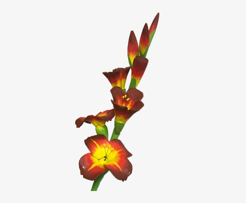 Wooden Gladiolus Flower03 Wooden Gladiolus Flower01 - Gladiolus, transparent png download
