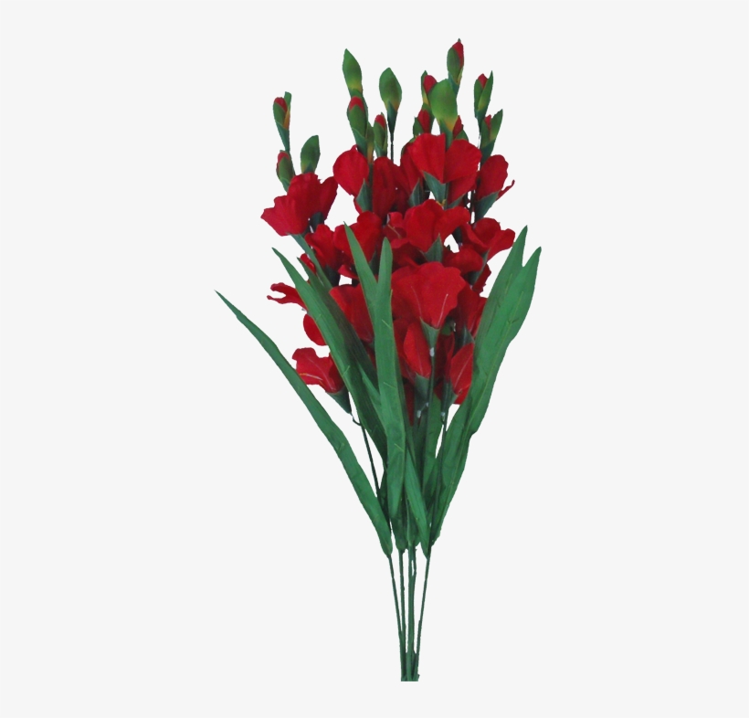 28” Deluxe Gladiola Bush Red - Bouquet, transparent png download