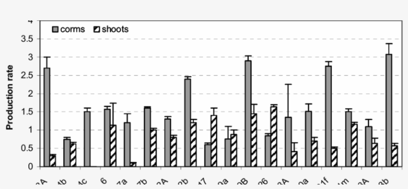 Multiplication Of Gladiolus On Semi-solid Medium - Plot, transparent png download