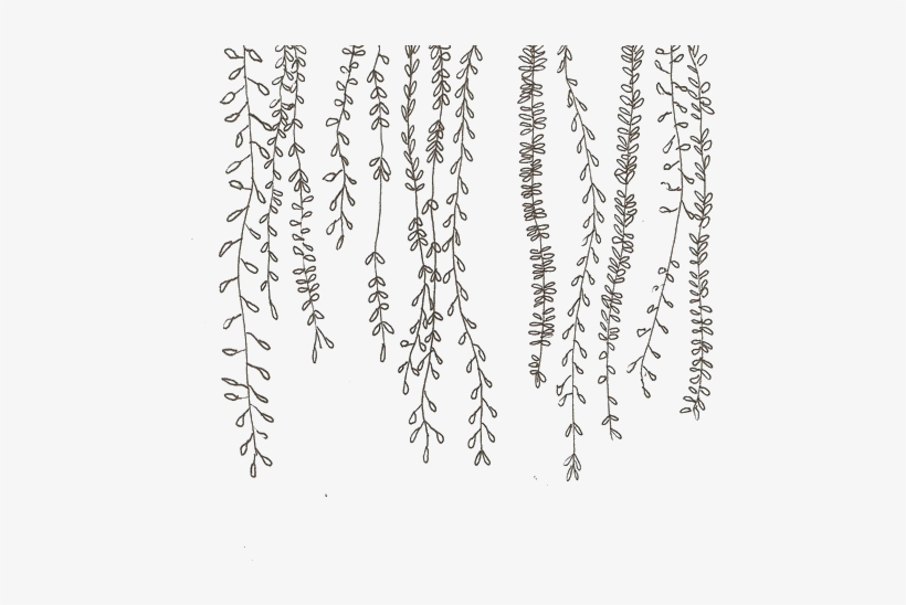 Evan Peters Boardwalks - Fond D Écran Fleurs, transparent png download