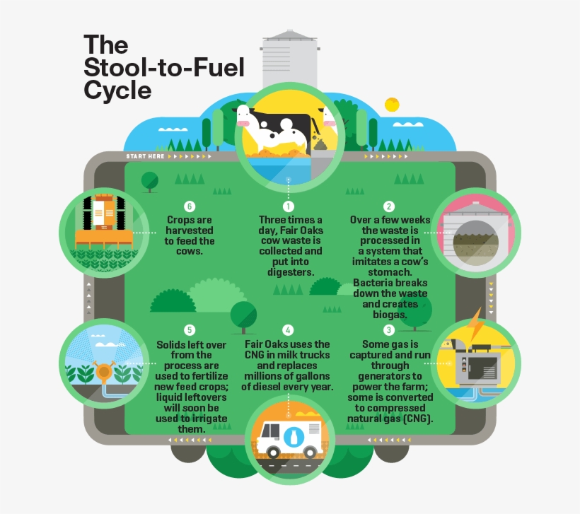 “my Dream And Sue's Dream And People Look At Me Like - Fair Oaks Farm Anaerobic Digester, transparent png download