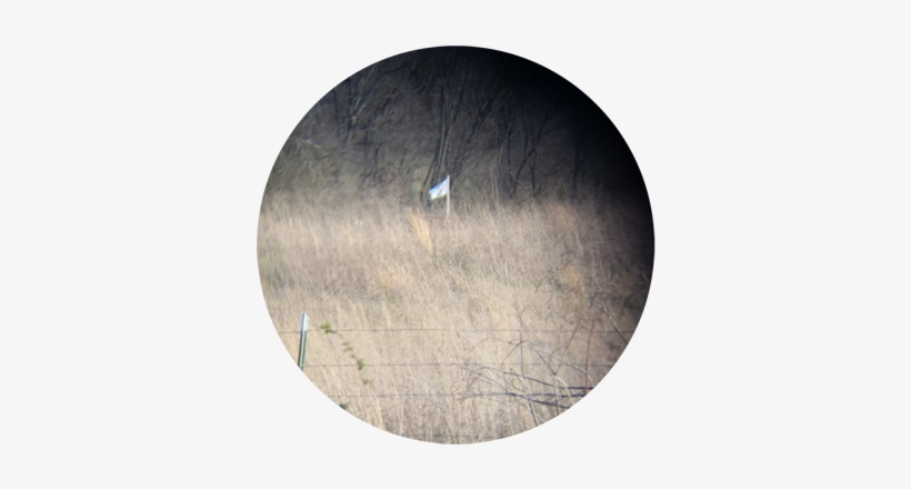 Agents Quickly Identified The Landowner Through Property - Plank, transparent png download