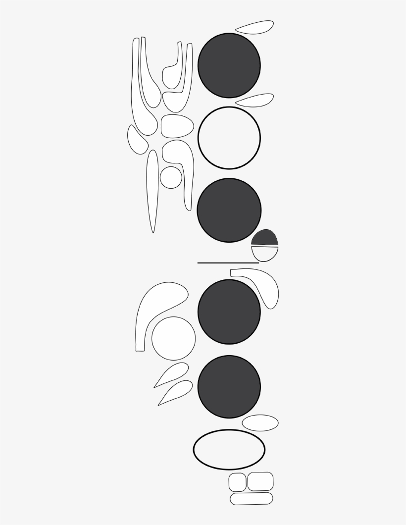 Instruments > Woodwind > Bassoon - Circle, transparent png download