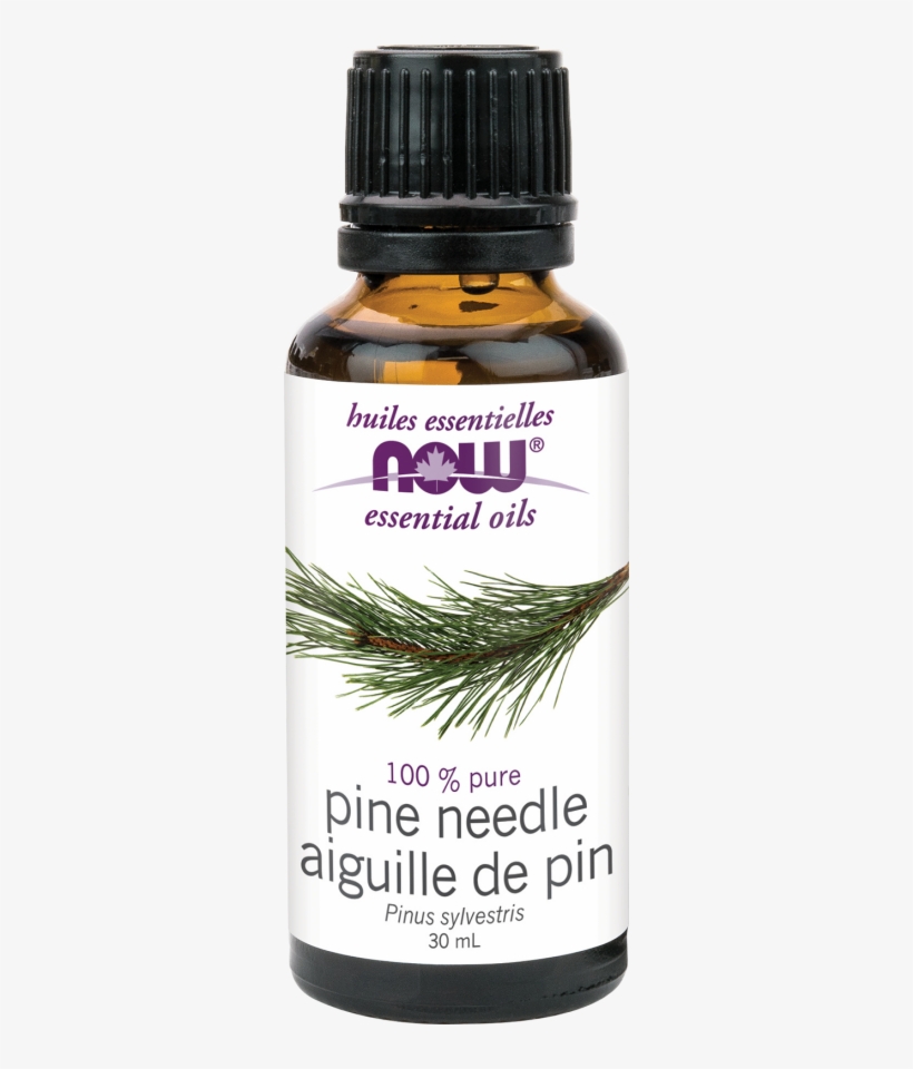 Product Description - Now Essential Oils Cinnamon Cassia Oil, transparent png download