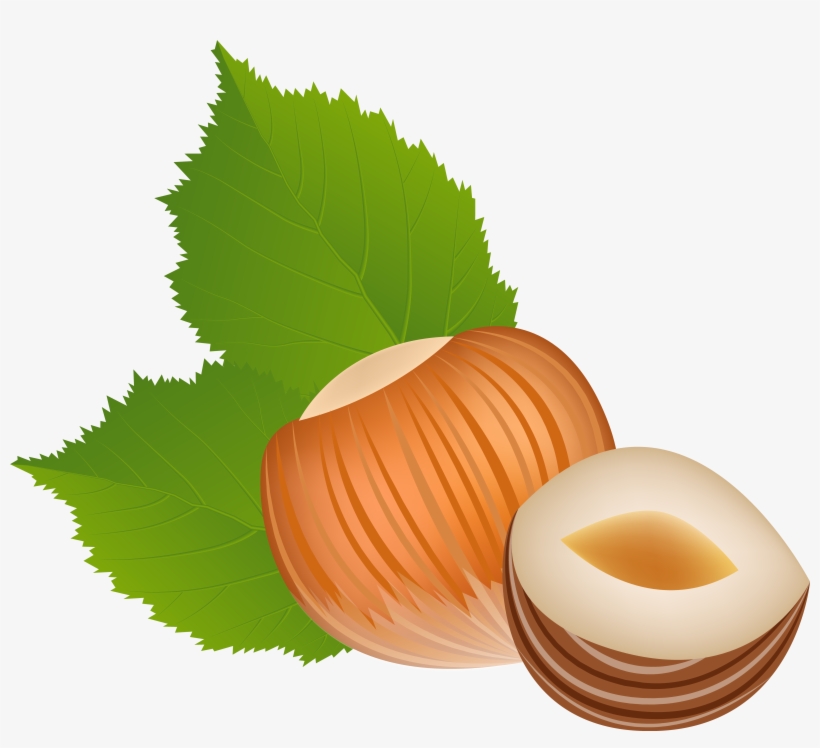 Hazelnut Clipart Png, transparent png download