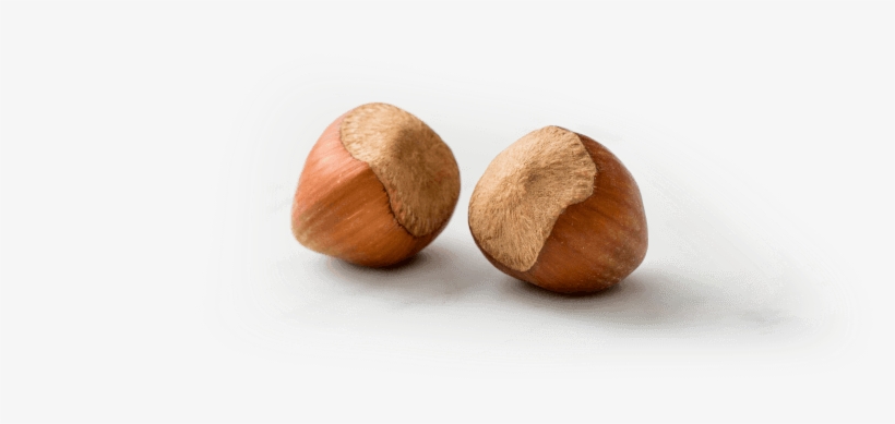 When It Comes To Health, Hazelnuts Stand Out - Mexican Pinyon, transparent png download