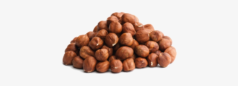 Raw Hazelnut Kernels - Hazelnut, transparent png download