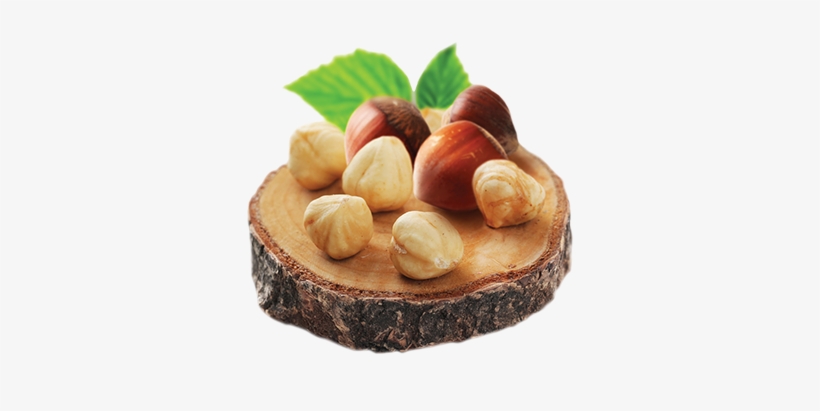 Hazelnuts - Hazelnut, transparent png download