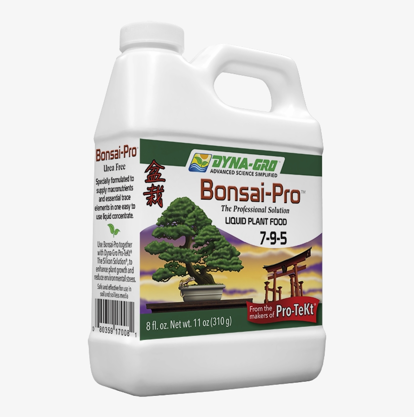 Bonsai Pro™ 7 9 - Christmas Tree, transparent png download