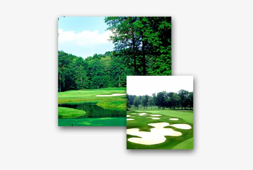 Avalon Lakes Golf Course Pictures - Golf, transparent png download