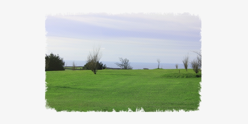 Explore Our Golf Course - Ivyleaf Paintball, transparent png download