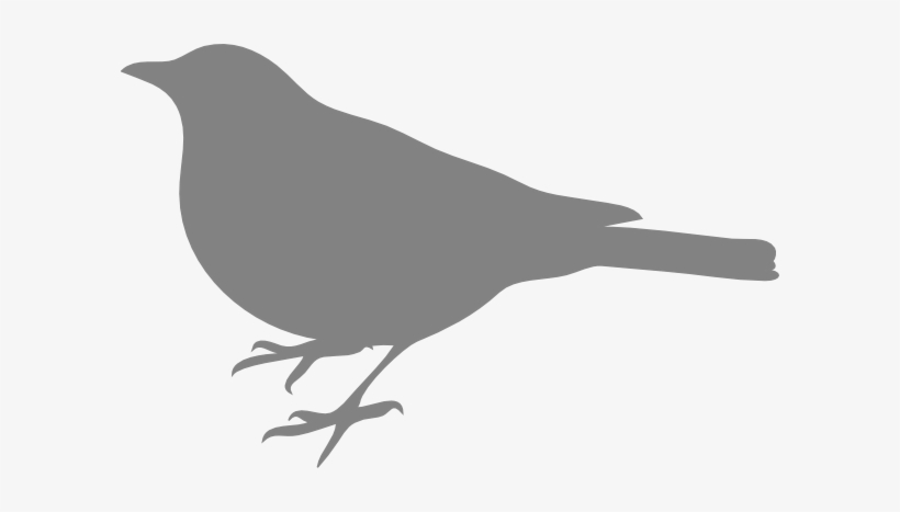 How To Set Use Grey Bird Clipart - Outline Of A Small Bird, transparent png download