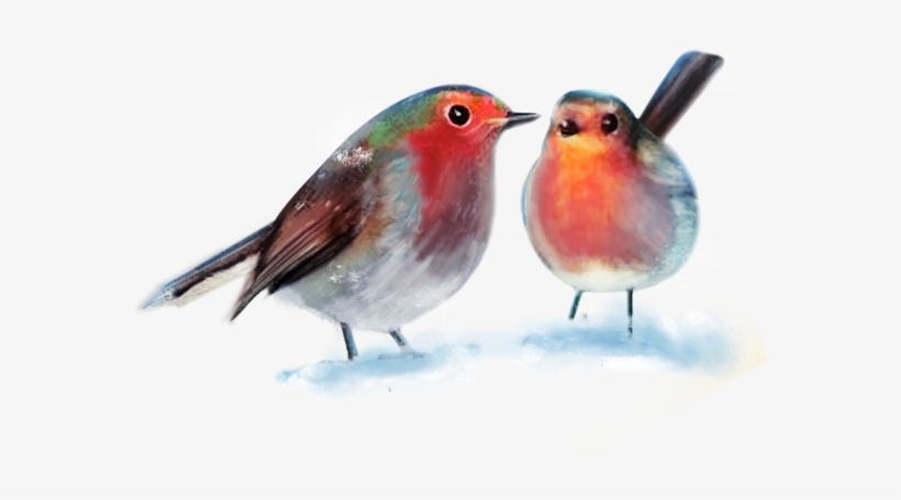 Winter Birds - Winter Birds Png, transparent png download
