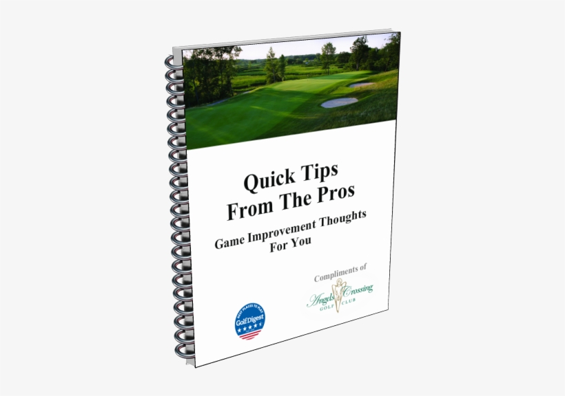 Grass, transparent png download