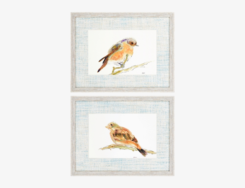 Birds Pk/2 - Bird, transparent png download