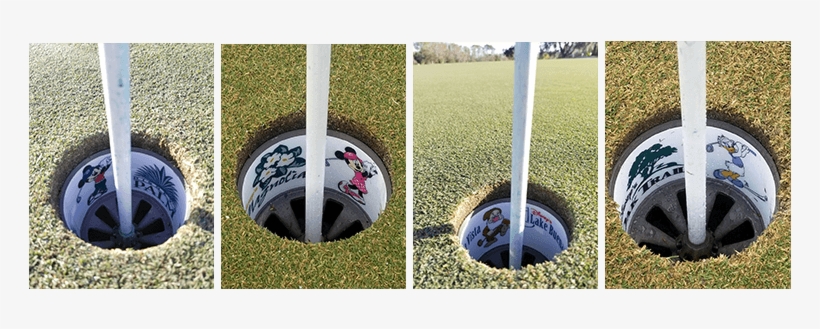 Grass, transparent png download