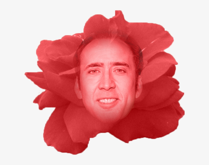 Nick Of Time - Nicolas Cage, transparent png download
