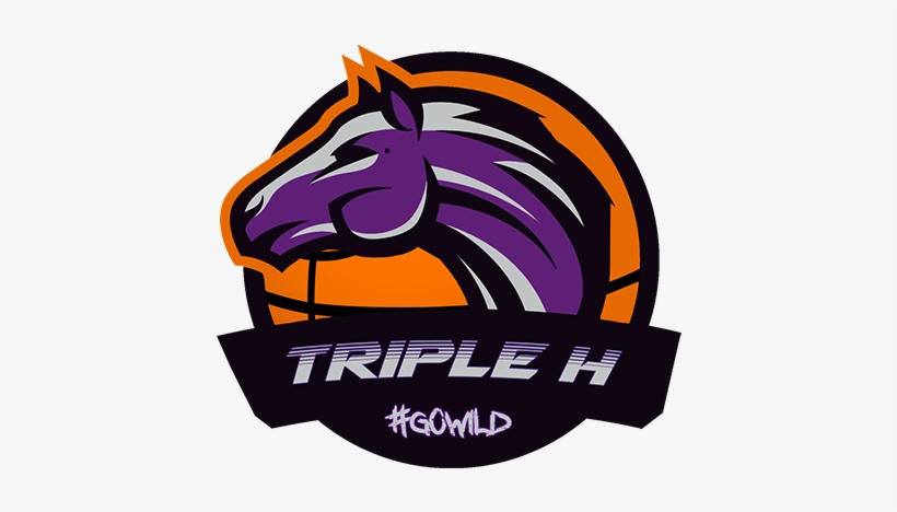 Triple H Basketball - Basketball, transparent png download