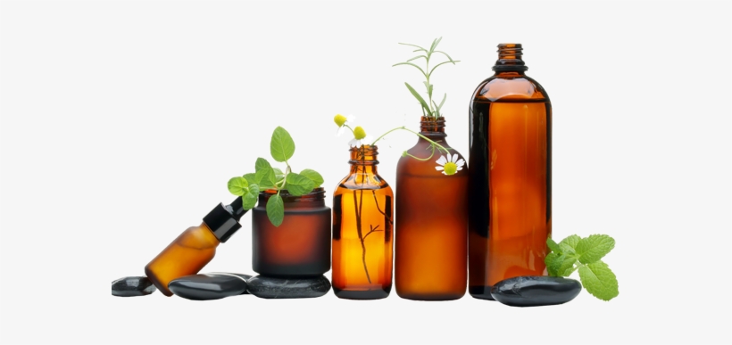 Essential Oils Give Plants Their Distinctive Smells, - Essential Oil Bottles Banner, transparent png download