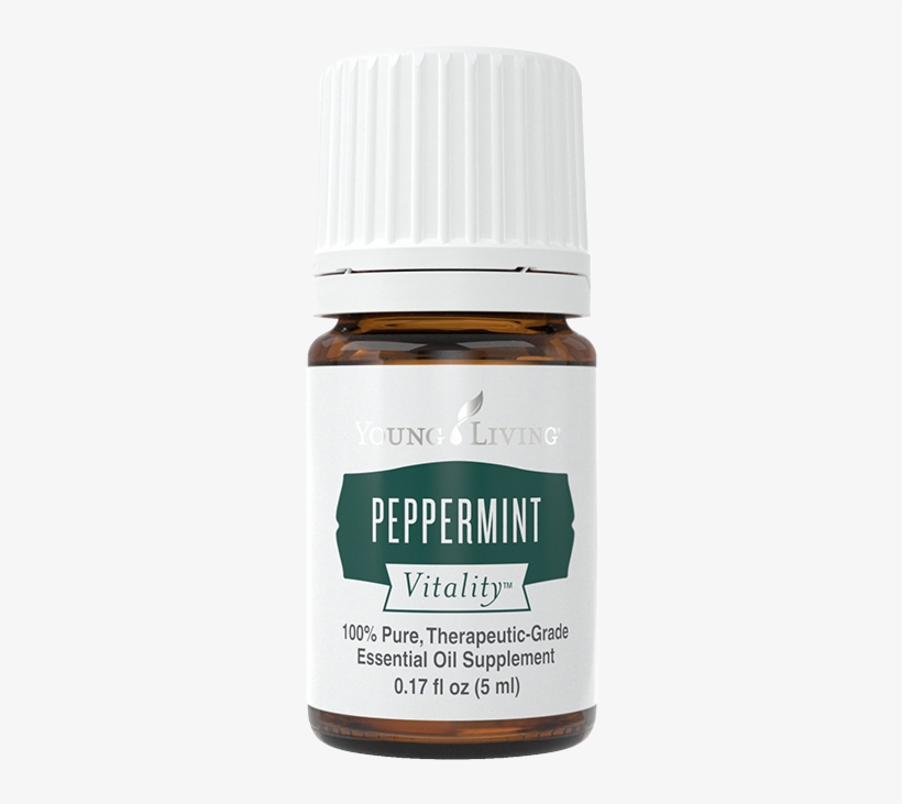 Try Peppermint Essential Oil - Peppermint Vitality Essential Oil Young Living, transparent png download
