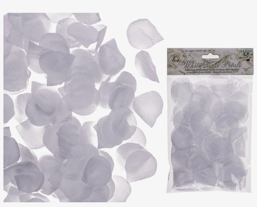 Petal, transparent png download