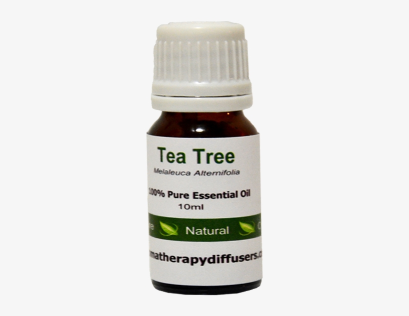 Pure Essential Oil Standard Tea Tree Free Shipping - Essential Oil, transparent png download