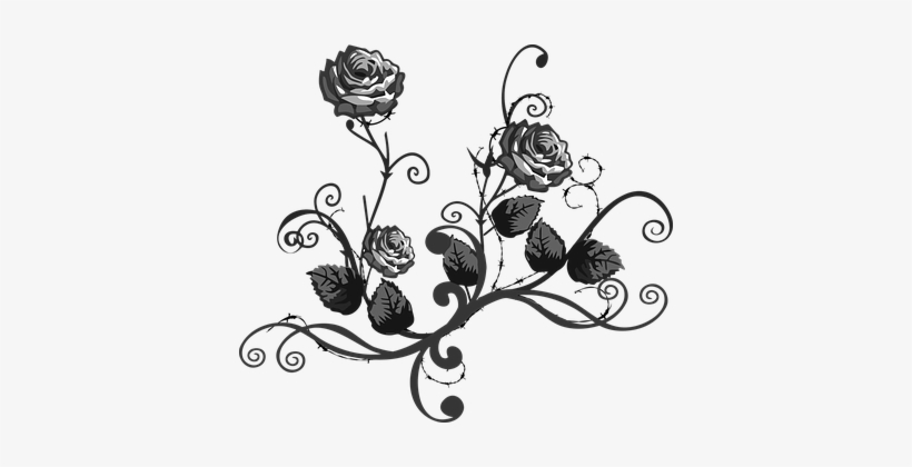 Rose Black White Floral Elegant Elegance D - Black & White Flowers, transparent png download