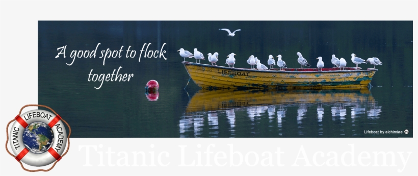Lifeboat Gull Masthead With Logo 6 A Compressed - Climate Change, transparent png download