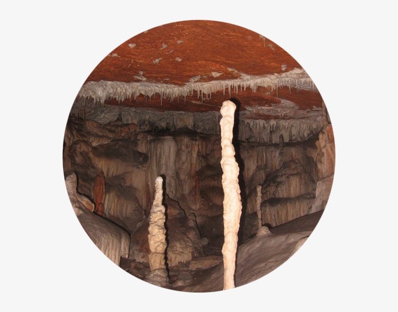 Medina3 Medina2 Medina1 - Wood, transparent png download