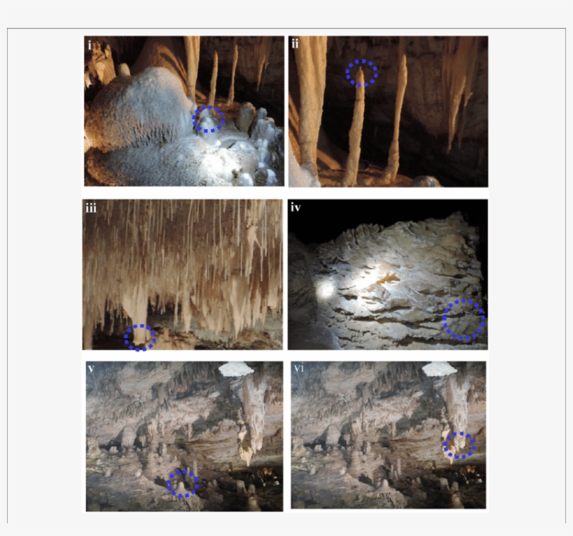Cave Speleothems Collected From Lake Cave (iv) Moondyne - Frontiers Media, transparent png download