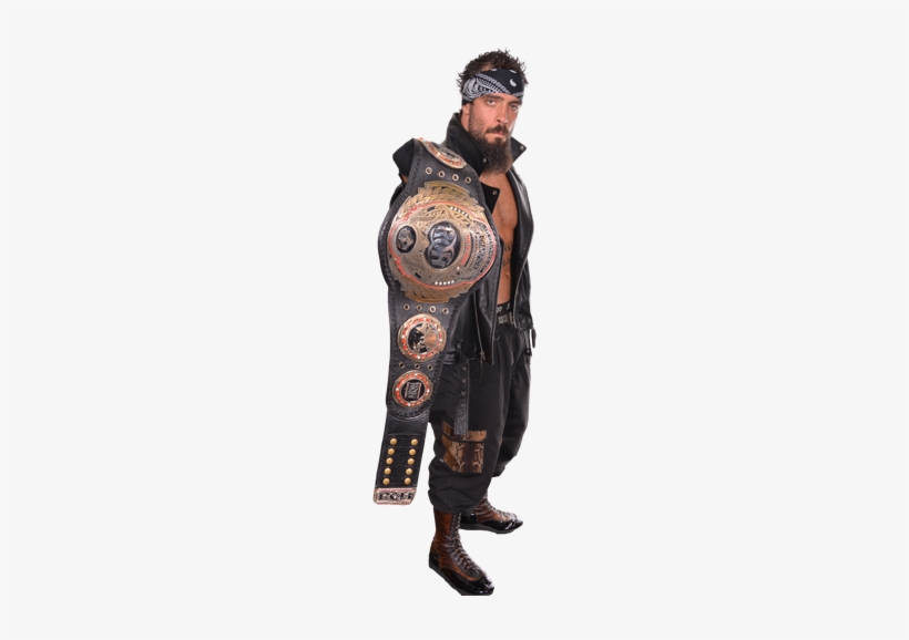 Ring Of Honor Heavyweight Champion - Jay Briscoe Roh Champion, transparent png download